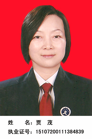 贾茂 律师