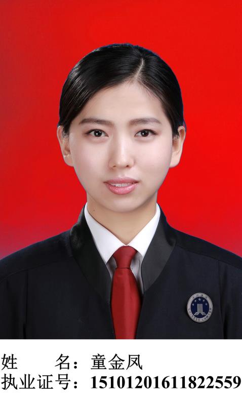 童金凤 律师
