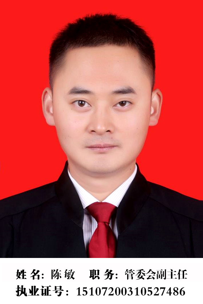 陈敏 律师 （高级合伙人）