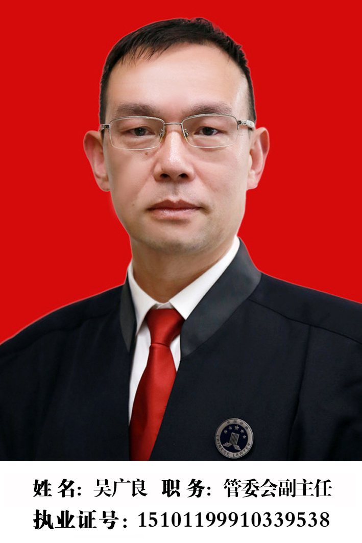 吴良广 律师 （高级合伙人）